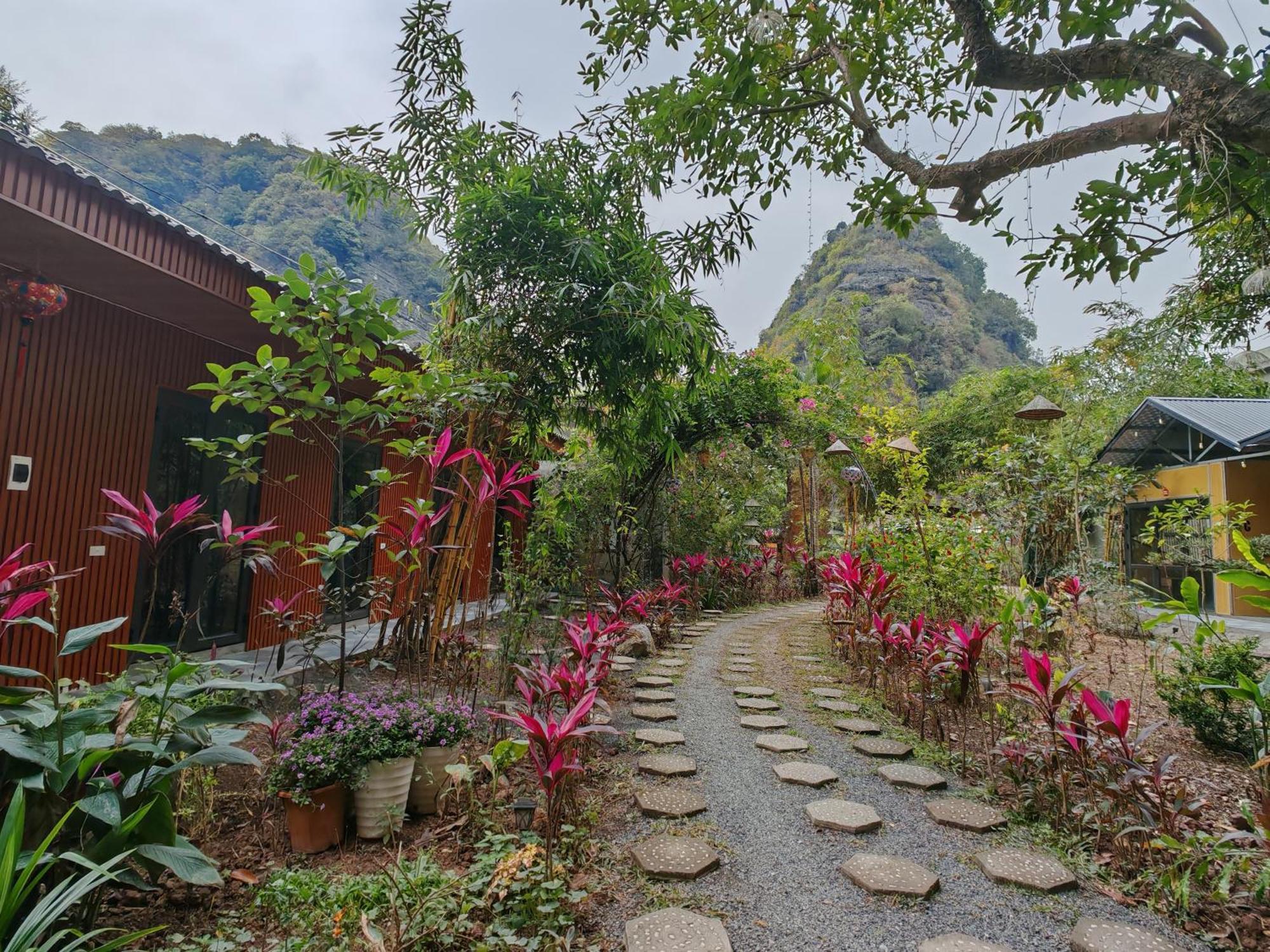 Green Valley Homestay - Thung Lung Xanh Nguyen Ngoai Экстерьер фото