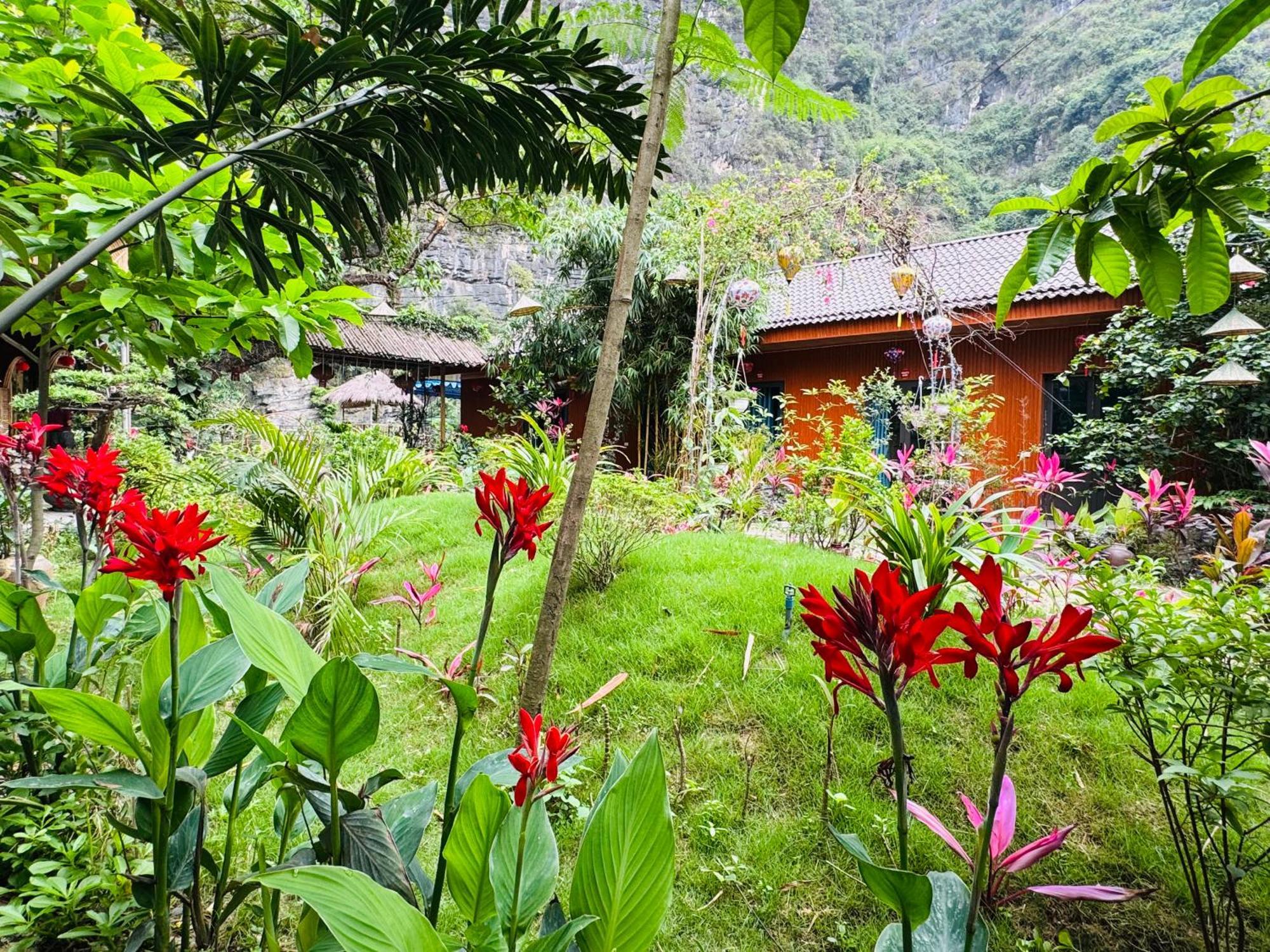 Green Valley Homestay - Thung Lung Xanh Nguyen Ngoai Экстерьер фото